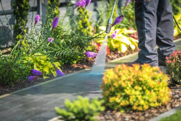 Best Gutter Cleaning  in Woodbridge, CA